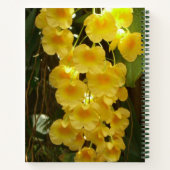 Carnet Accrocher les orchidées jaunes Fleurs tropicales (Dos)
