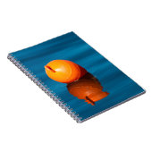 Carnet Acheter (Côté Droit)