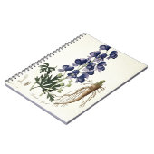 Carnet Aconitum Napellus de "Phytographie Medicale" par (Côté gauche)