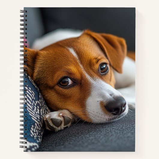 Carnet Adadorable Resting Dog Notebook (Devant)