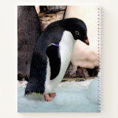 Carnet Adélie Penguin (Dos)