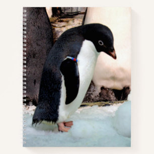 Carnet Adélie Penguin