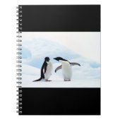Carnet Adelie Penguins (Devant)