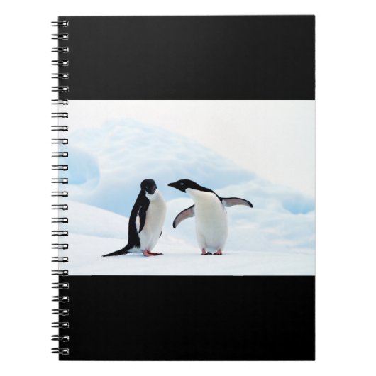 Carnet Adelie Penguins (Devant)