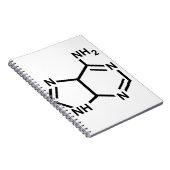 Carnet Adénine (Côté Droit)
