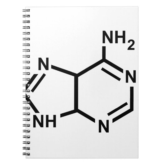 Carnet Adénine (Devant)