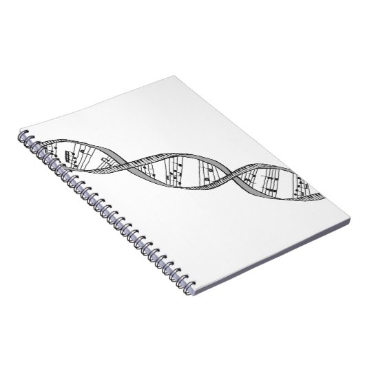 Carnet ADN musical (Côté Droit)