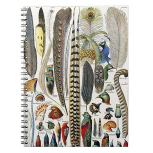 Carnet Adolphe Millot Dark Academia Vintage Plume d'Oisea