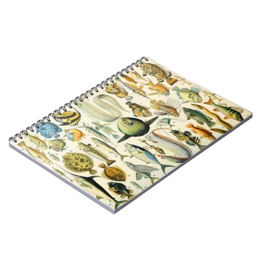 Carnet Adolphe Millot poisson A (Côté gauche)