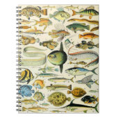 Carnet Adolphe Millot poisson A (Devant)