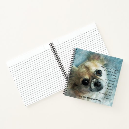 Carnet Adopter Un Abri - Chihuahua (Intérieur)