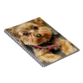 Carnet Adorable (Côté Droit)