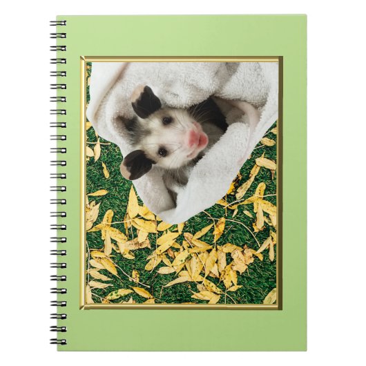 Carnet Adorable bébé doux Opossum (Devant)