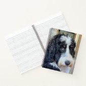 Carnet Adorable Bernedoodle (Intérieur)
