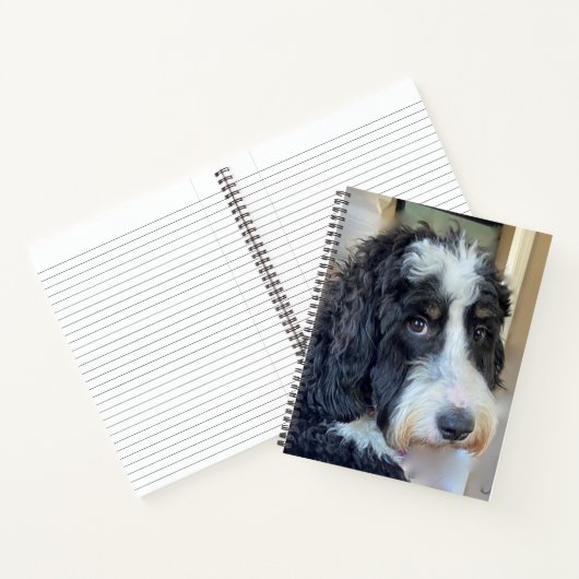 Carnet Adorable Bernedoodle (Intérieur)