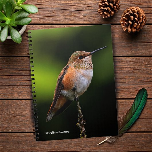 Carnet Adorable colibri roux à la branche