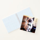Carnet Adorable Masqué bleu teint Siamese Kitten Photo (Intérieur)