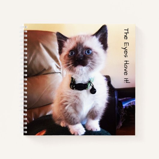 Carnet Adorable Masqué bleu teint Siamese Kitten Photo (Devant)