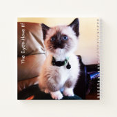 Carnet Adorable Masqué bleu teint Siamese Kitten Photo (Dos)