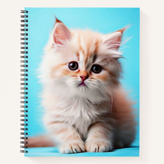 Carnet Adorable Potrait de chaton blanc-54971 (Devant)