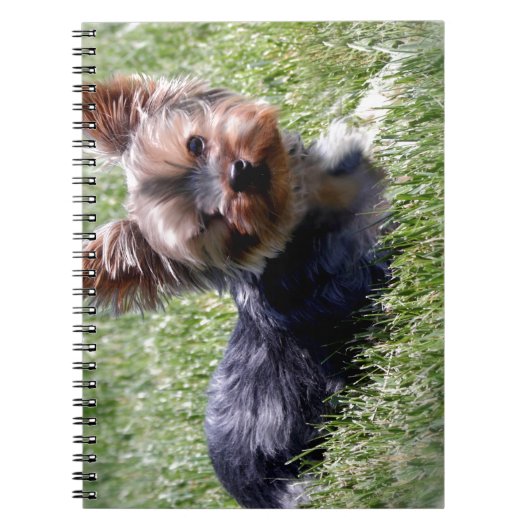 Carnet Adorable Yorkie Produits multiples sélectionnés (Devant)