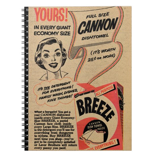 Carnet Advert en poudre de lavage Vintage 1955 (Devant)