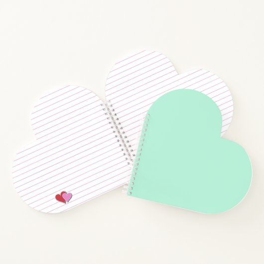 Carnet Aero Blue (Intérieur)