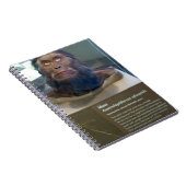 Carnet Afarensis d'australopithèque ; objet exposé de (Côté Droit)