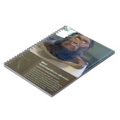 Carnet Afarensis d'australopithèque ; objet exposé de (Côté gauche)