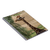 Carnet affamé de girafe (Côté Droit)