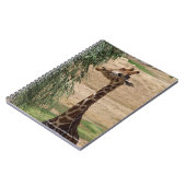 Carnet affamé de girafe (Côté gauche)