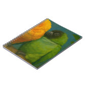 Carnet Affection tropicale - Perroquets dans la lumière f (Côté gauche)