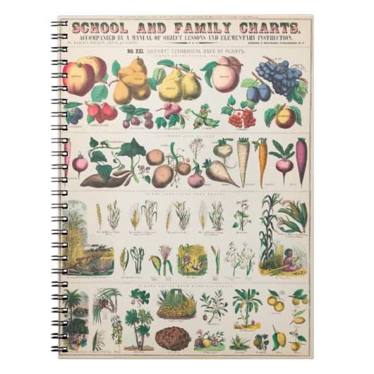 Carnet Affiche botanique de légumes (Devant)