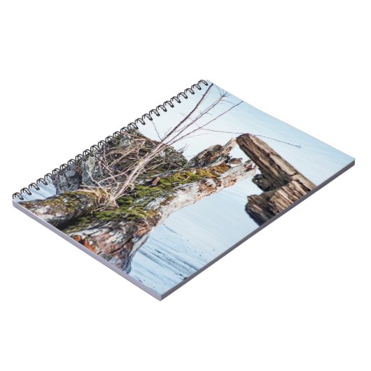 Carnet Afficher la boîte (Côté gauche)