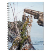 Carnet Afficher la boîte (Devant)