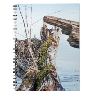 Carnet Afficher la boîte