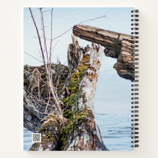 Carnet Afficher la boîte (Dos)