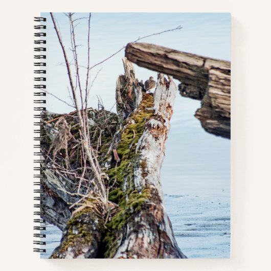 Carnet Afficher la boîte (Devant)