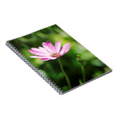 Carnet African daisy (Côté Droit)