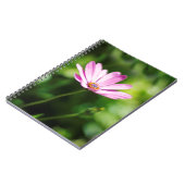Carnet African daisy (Côté gauche)