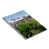 Carnet African Lily (Agapanthus praecox), Mossel Bay (Côté Droit)