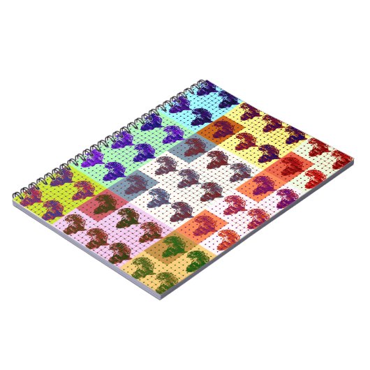 Carnet Africas (Côté gauche)