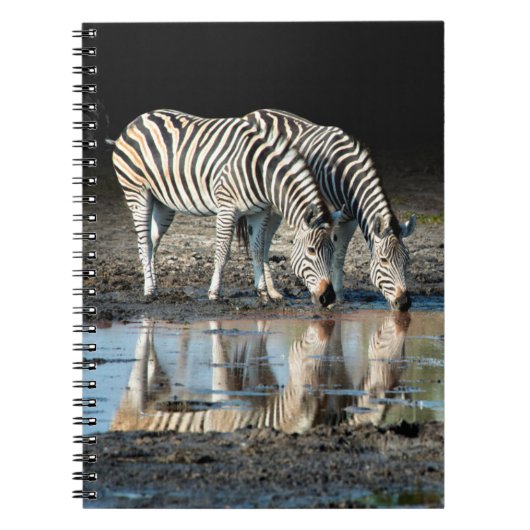 Carnet Afrique,Botswana, Delta de l'Okavango, Davison Cam (Devant)