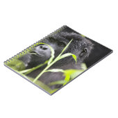 Carnet Afrique Ouganda, Bwindi (Côté gauche)