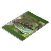 Carnet Agama, lézard (Côté gauche)