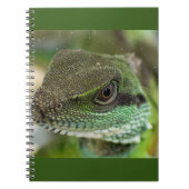Carnet Agama, lézard (Devant)