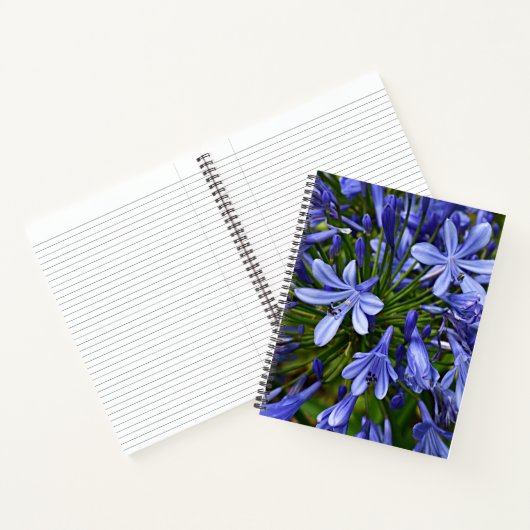 Carnet Agapanthe Bleue du Nil Floral (Intérieur)
