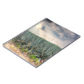 Carnet Agave bleu (Côté gauche)