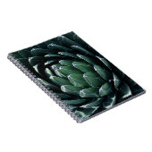 Carnet Agave vert (Côté Droit)