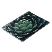 Carnet Agave vert (Côté gauche)